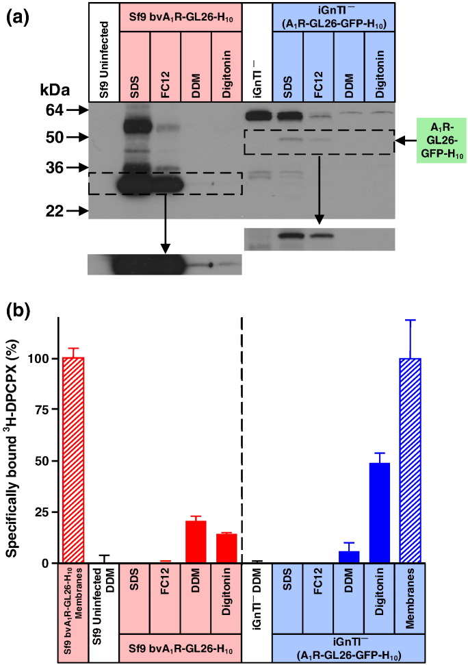 Fig. 9