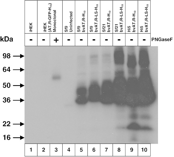 Fig. 3