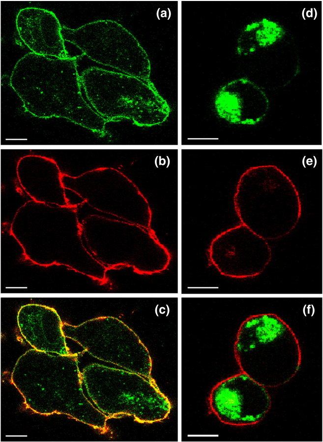 Fig. 8