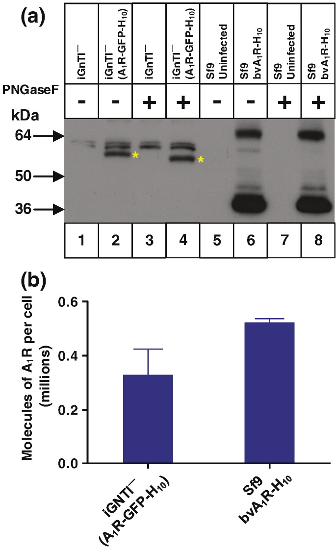 Fig. 6