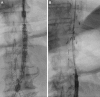 Fig 2