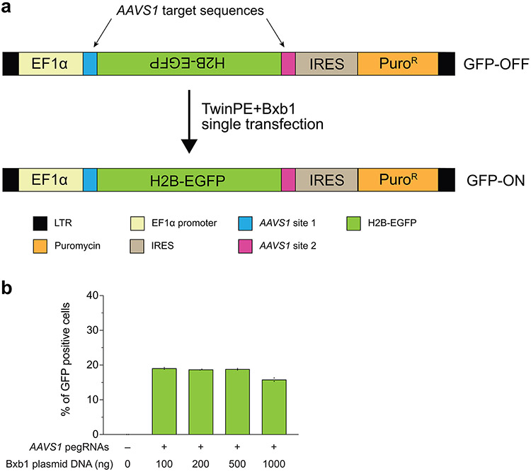 Extended Data Fig. 8