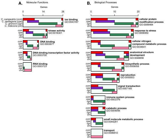 Figure 2—figure supplement 2.