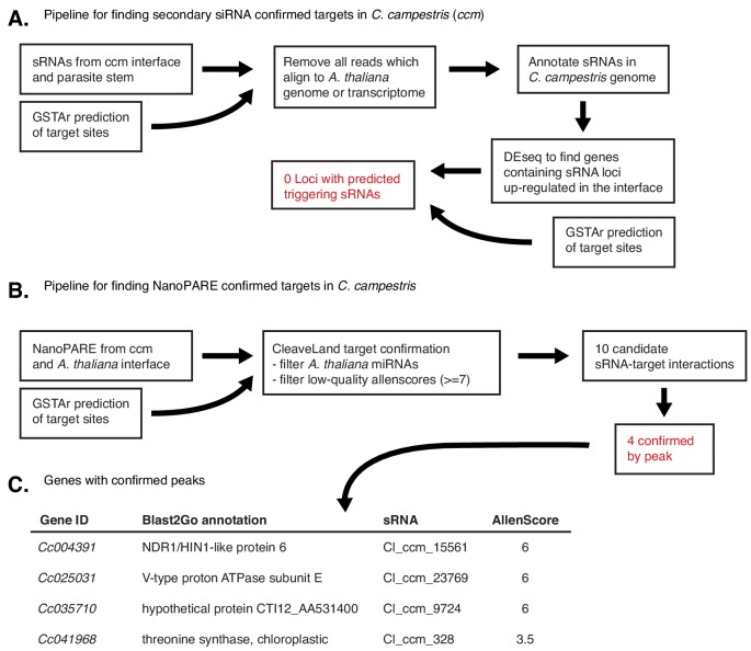 Figure 4—figure supplement 1.