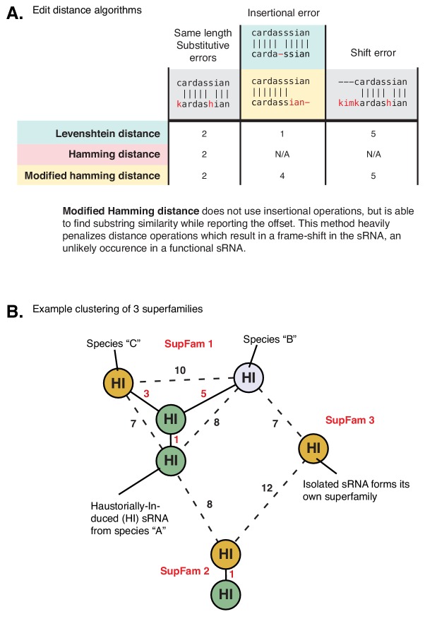 Figure 5—figure supplement 1.