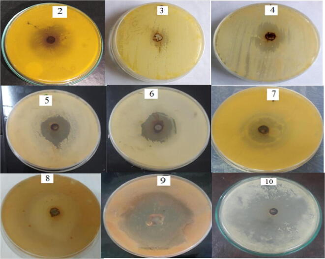 Fig. 9