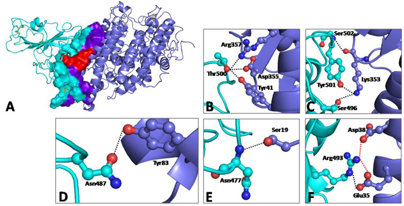 Fig. 1