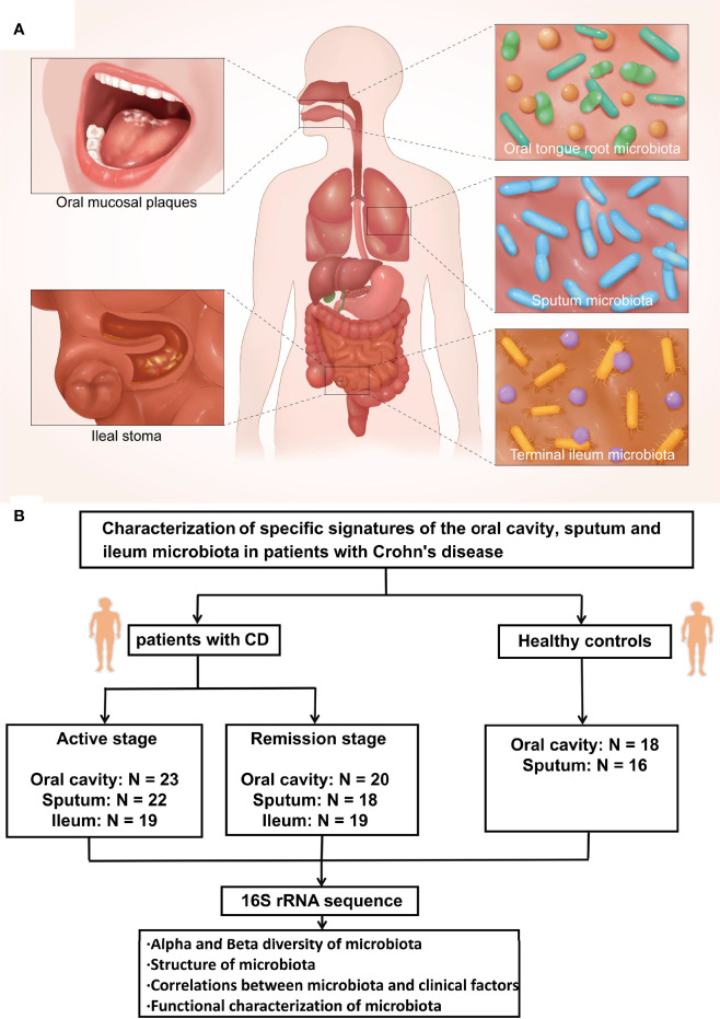 Figure 1