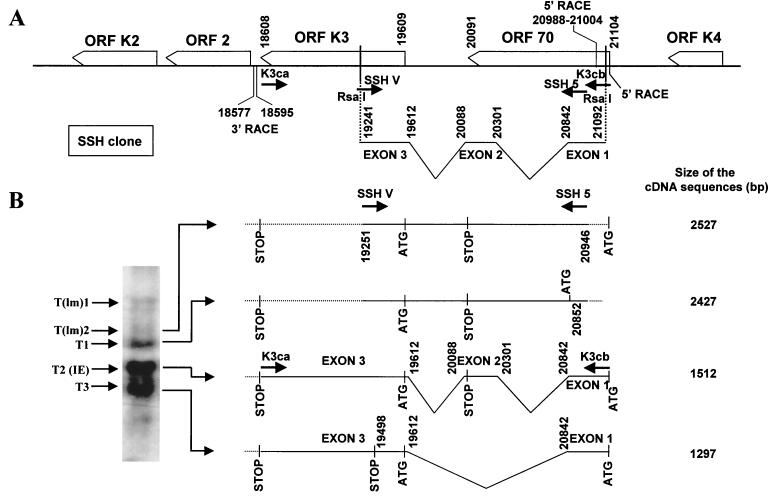 FIG. 6