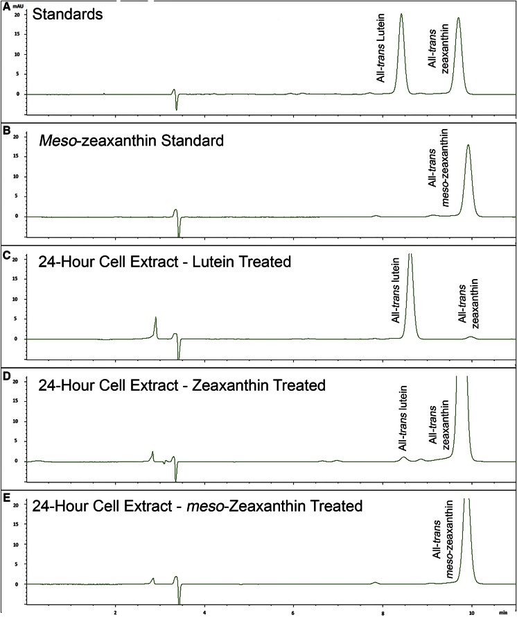 Fig. 10.