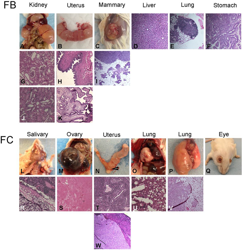 Figure 3: