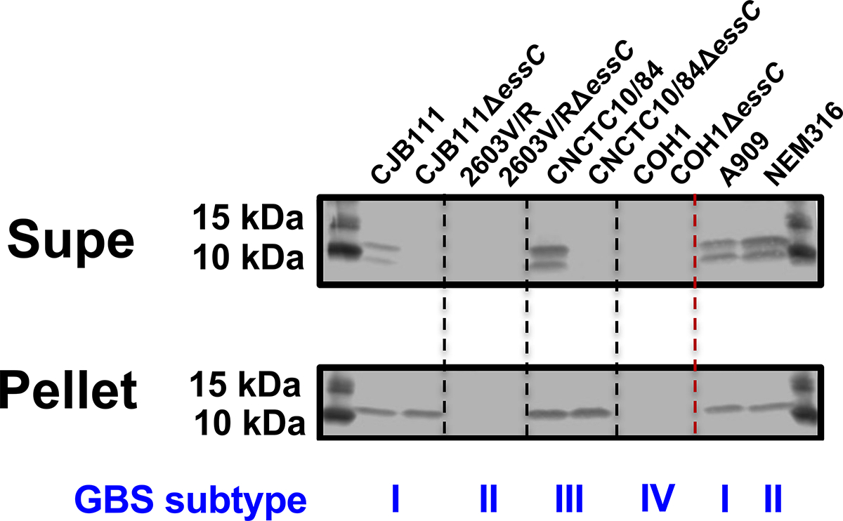 Fig. 5.