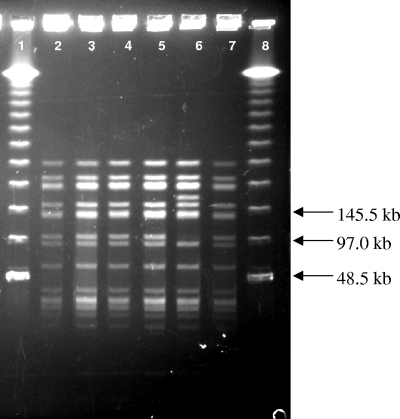 FIG. 1.