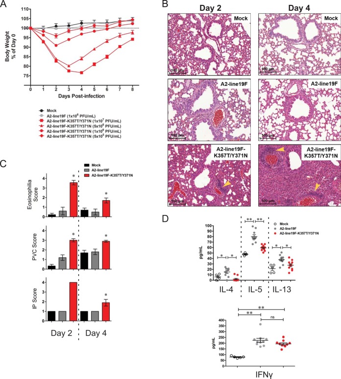 FIG 6