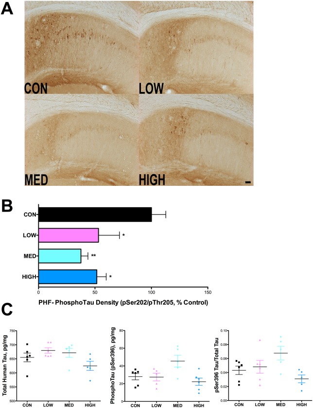 Fig 11