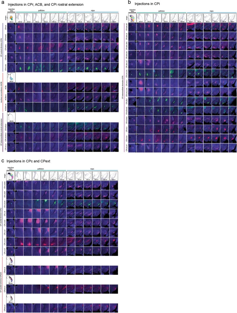 Extended Data Fig. 2