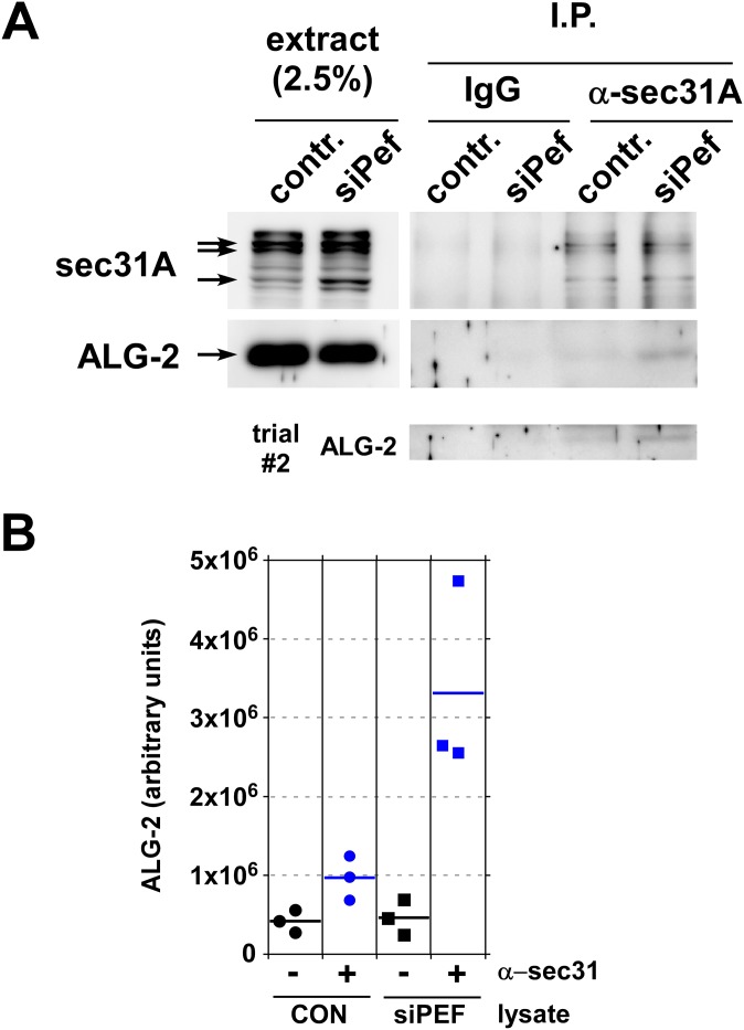 Fig 5