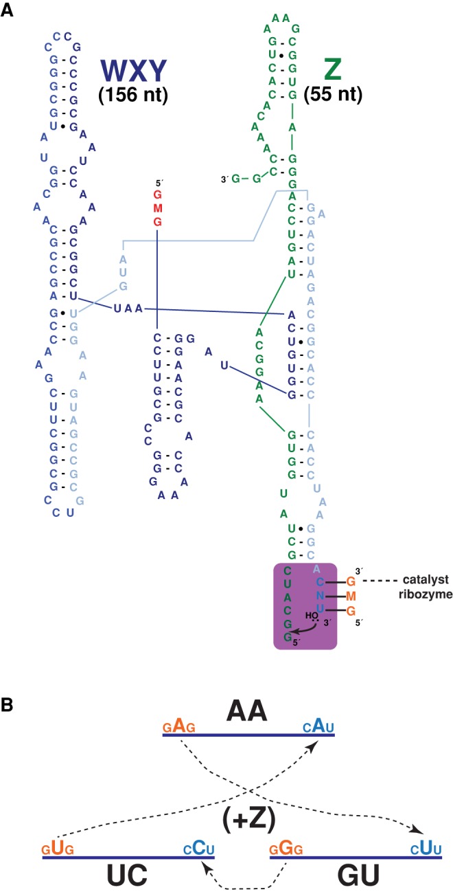 FIGURE 1.