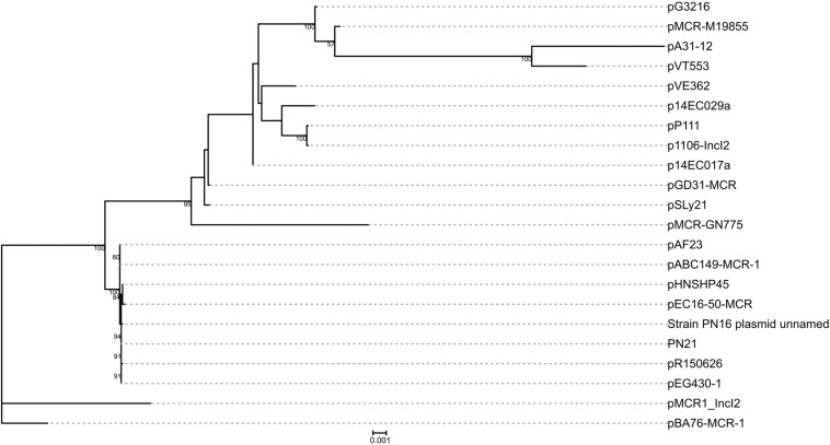 FIGURE 1