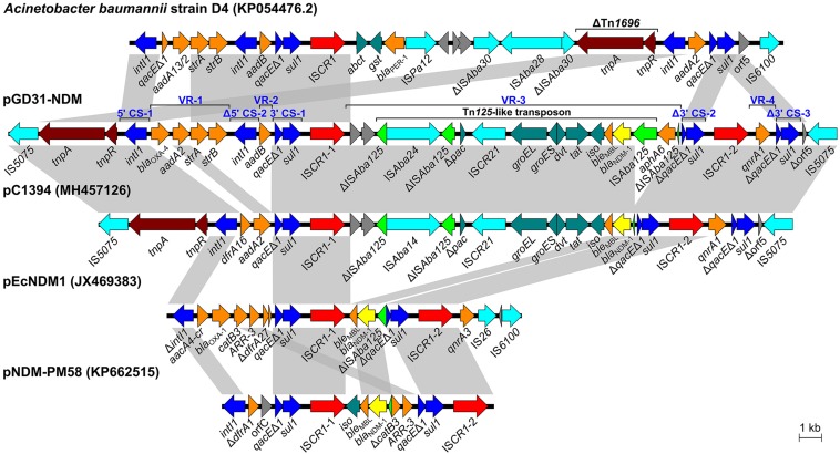 FIGURE 2