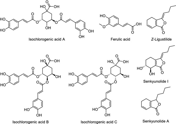 Fig. 6