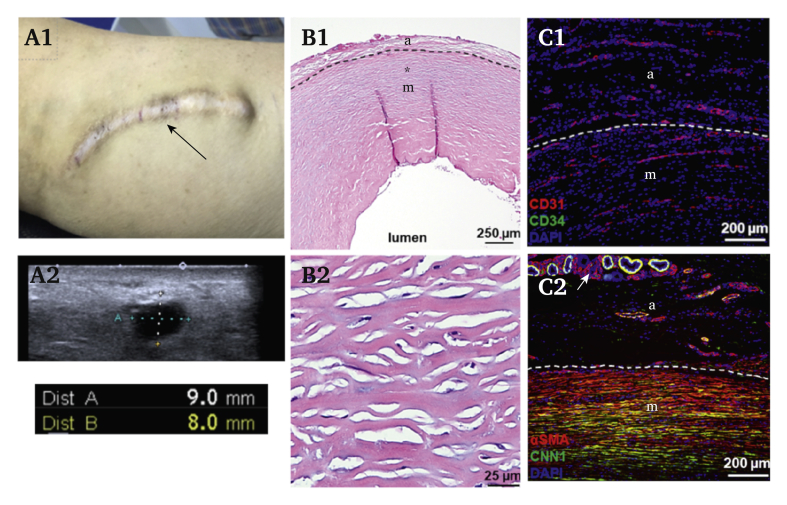 Figure 2