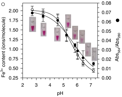 Fig. 2.