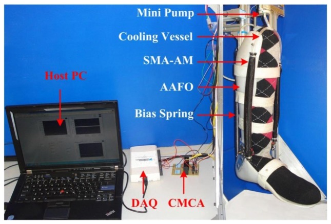 Figure 12.