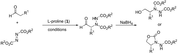 graphic file with name molecules-15-00917-i001.jpg