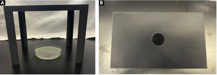 Figure 2