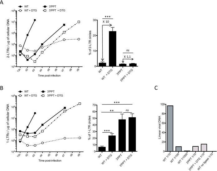 FIG 2