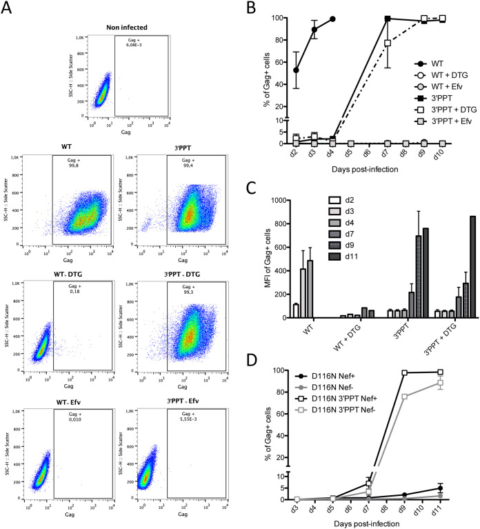 FIG 3