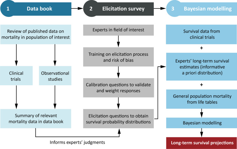 Fig. 1