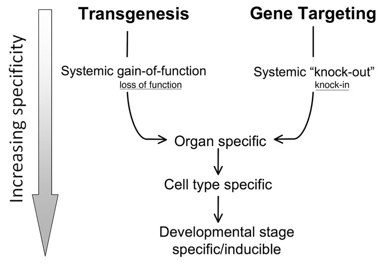 FIG. 1