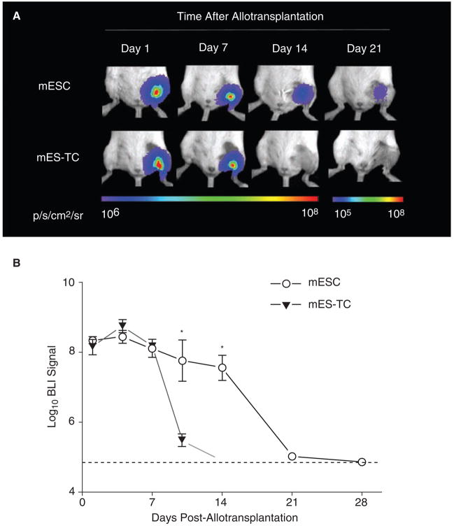 FIG. 4