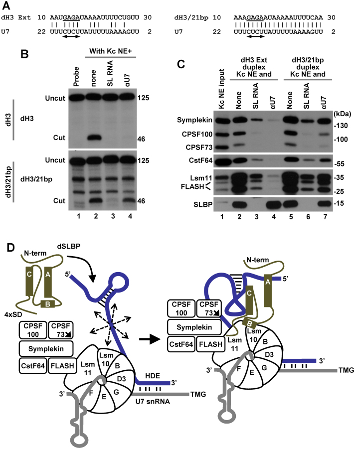 Figure 7.