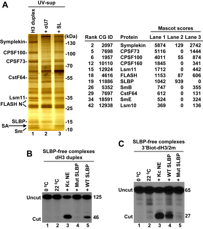 Figure 6.