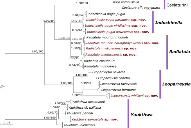 Figure 1