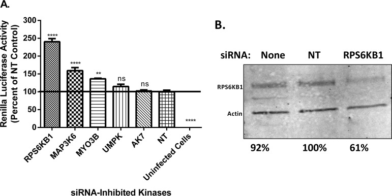 FIG 1