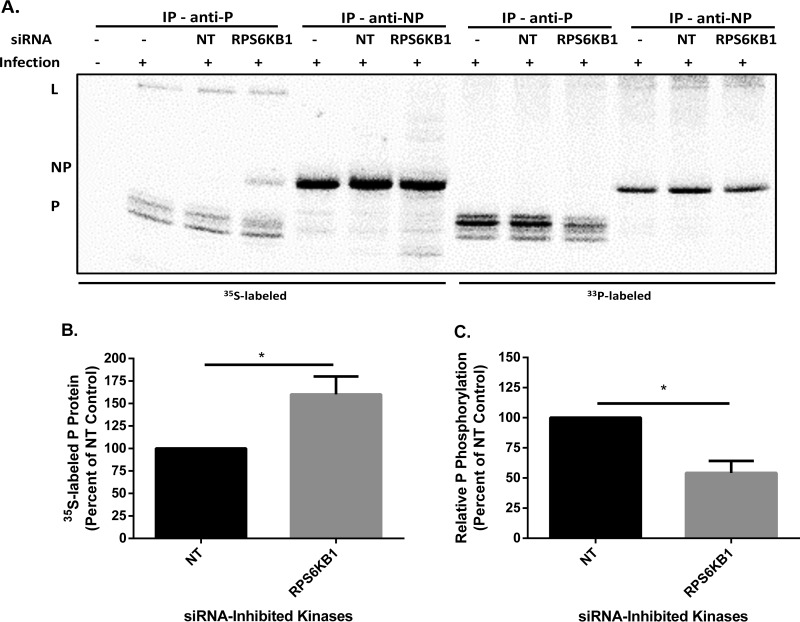 FIG 6