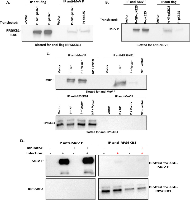 FIG 7