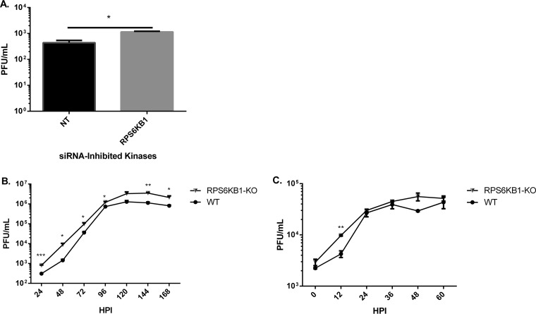 FIG 2