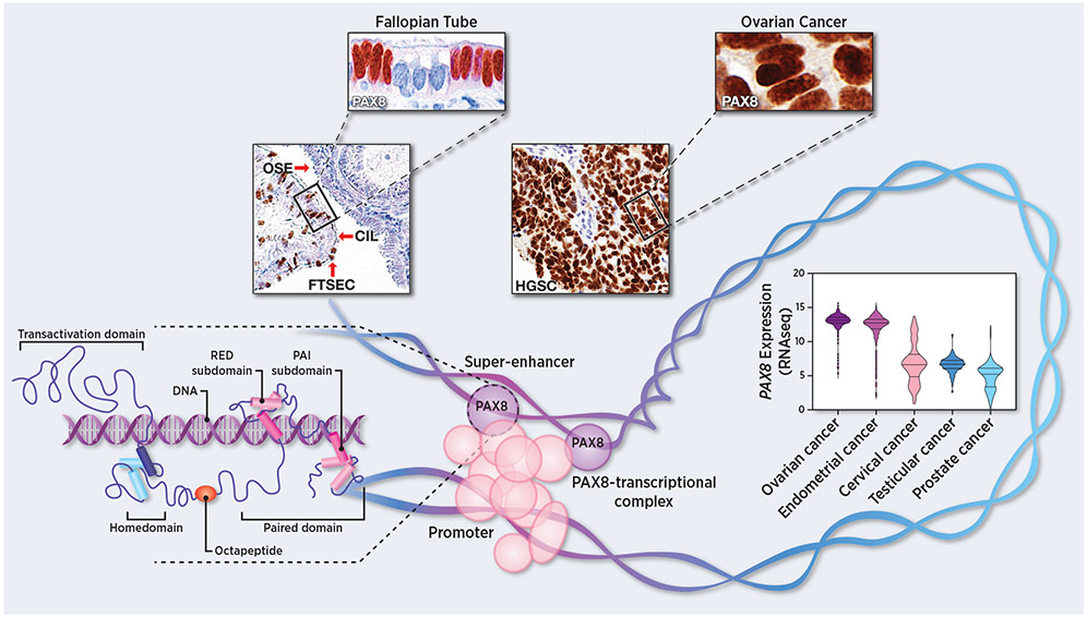 Figure 1: