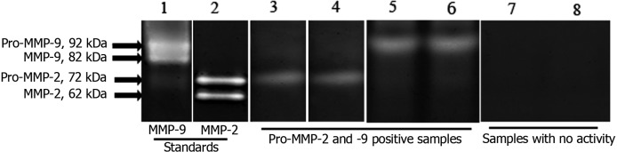 Fig.1.