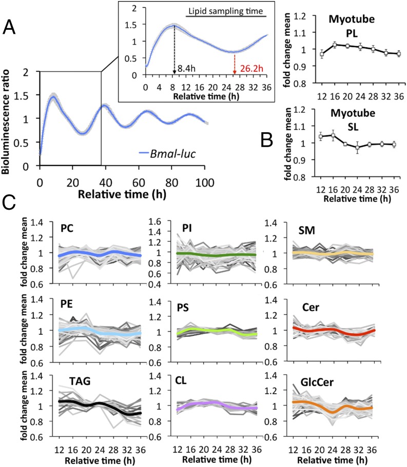 Fig. 3.