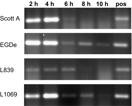 Figure 4.