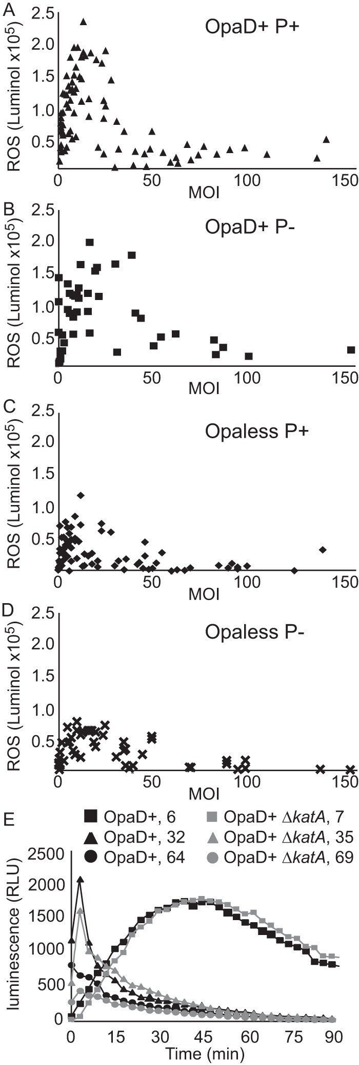 FIG 4 