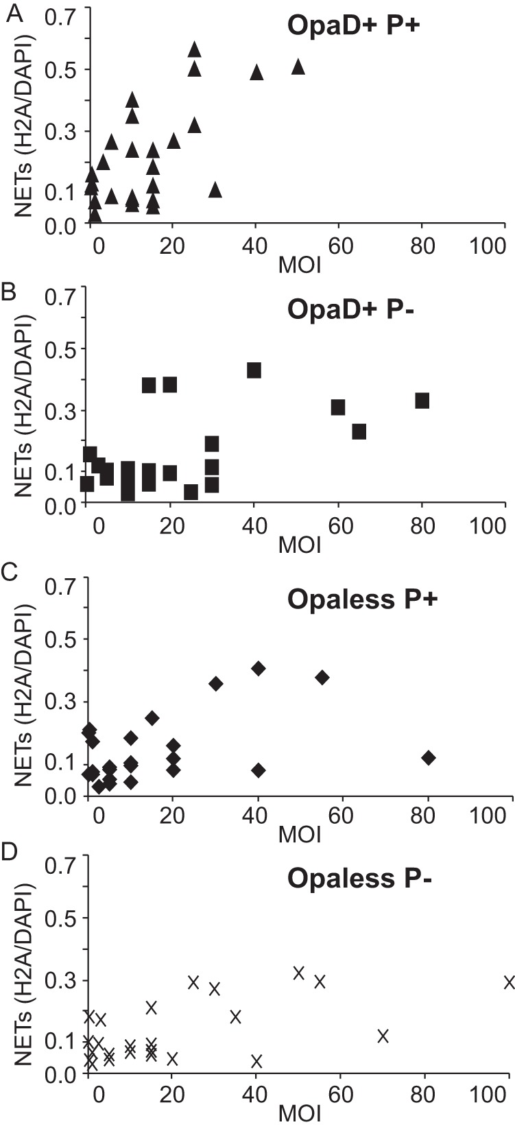 FIG 2 