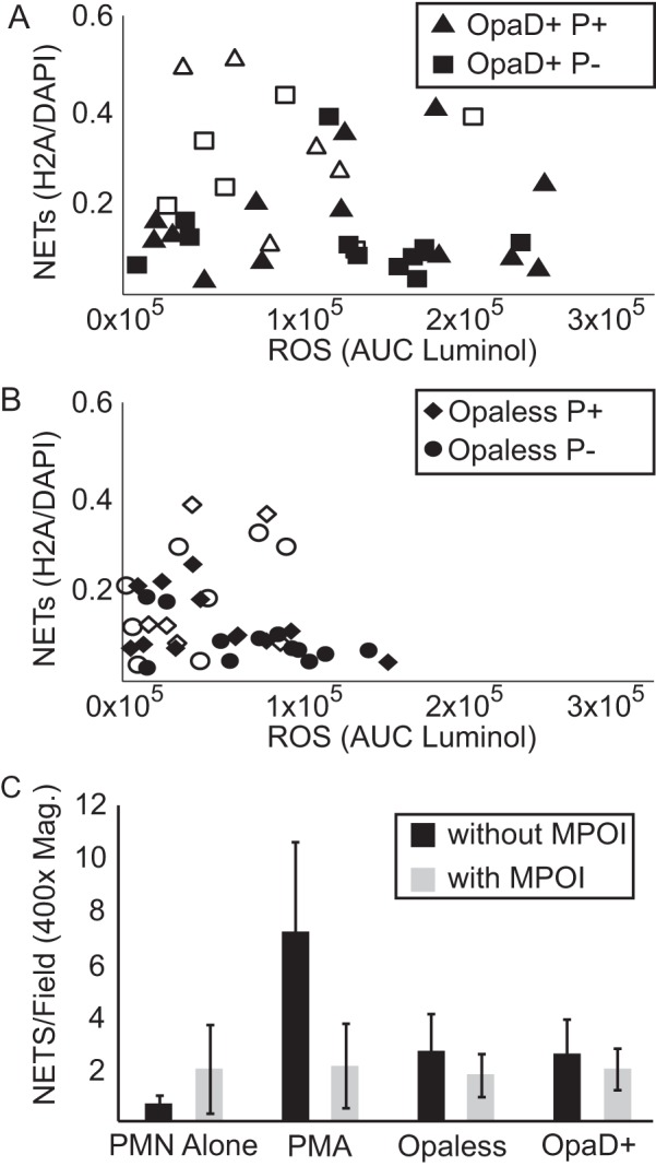 FIG 3 