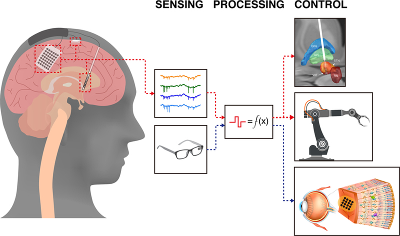 Figure 1: